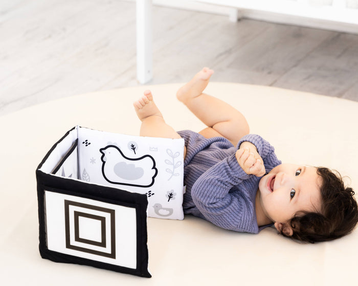 Pearhead Newborn Sensory Learning Toy Set