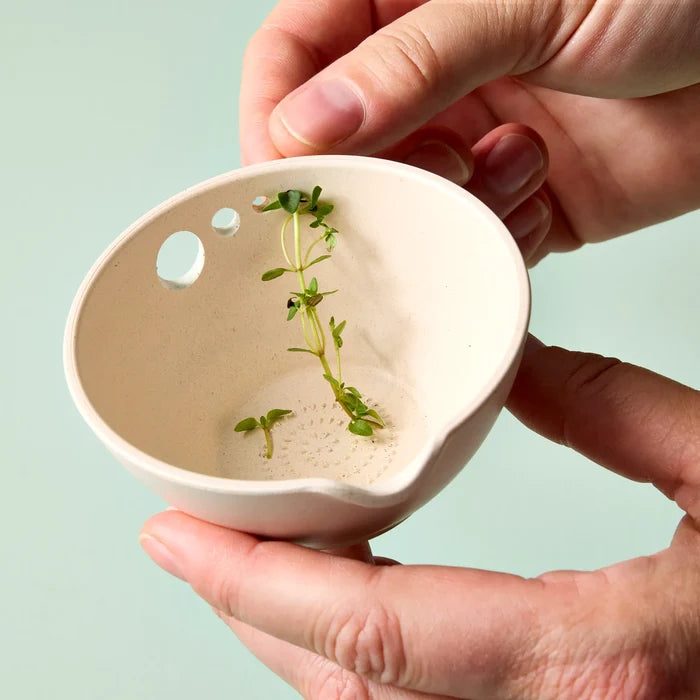 Modern Sprout Peel, Grate & Prep Dish