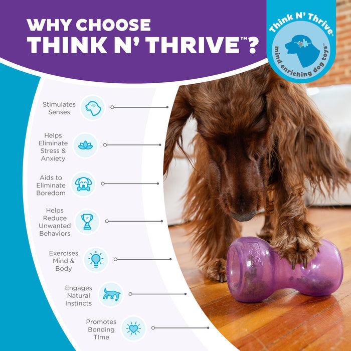 Planet Dog Orbee Tuff  Double Snoop Interactive Treat Dispensing Dog Toy Purple - Dog.Dog.Cat.