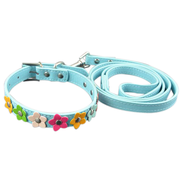 Sarah Flowers Collar + Leash