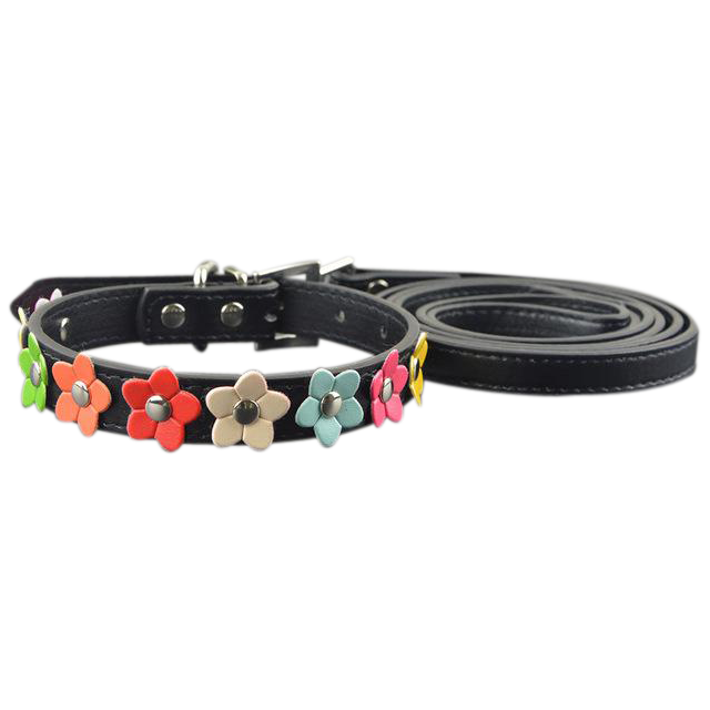 Sarah Flowers Collar + Leash
