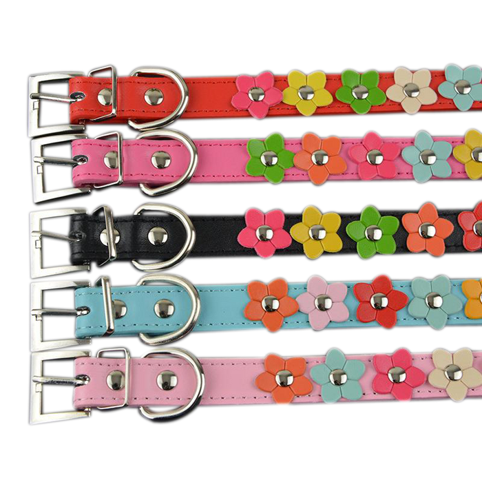 Sarah Flowers Collar + Leash