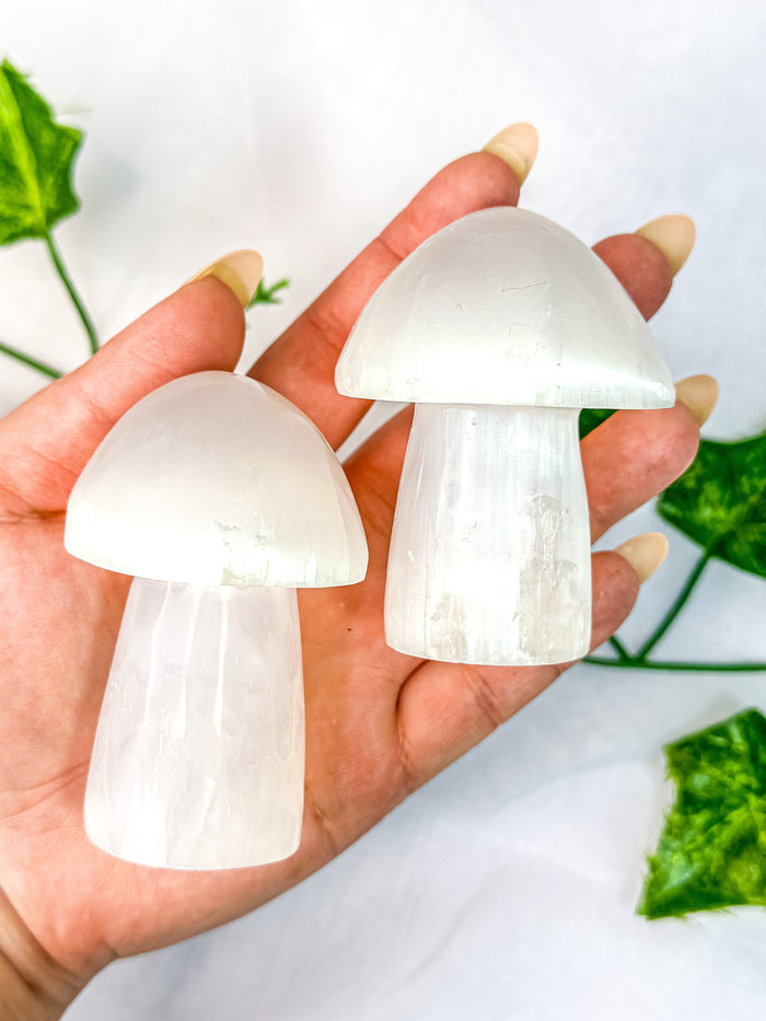 Satin Spar Selenite Mushroom
