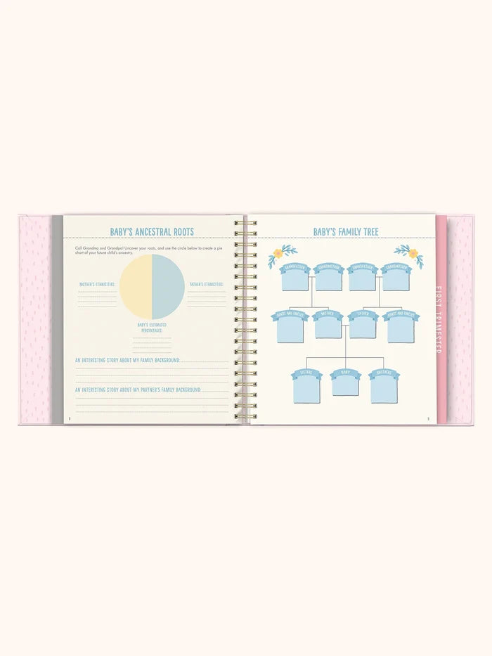 Studio Oh! Bump for Joy: A Pregnancy Journal in Pink