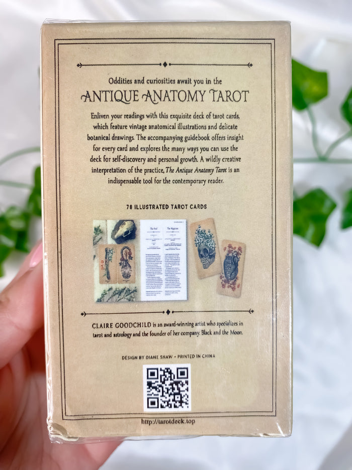 The Antique Anatomy Tarot Deck