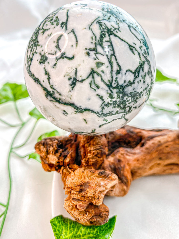 Tree Agate Sphere