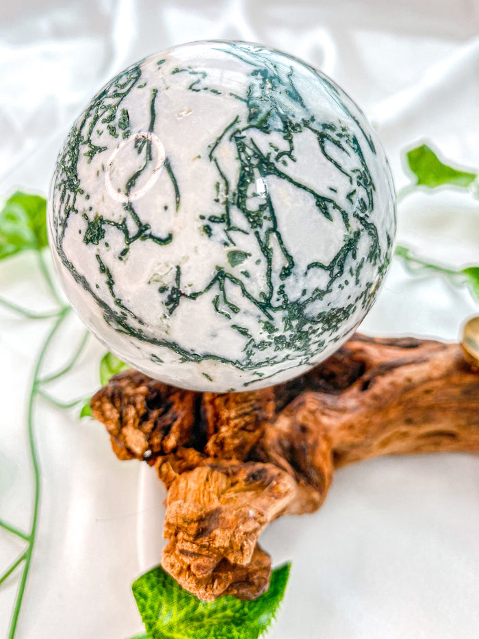 Tree Agate Sphere