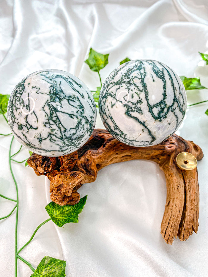 Tree Agate Sphere
