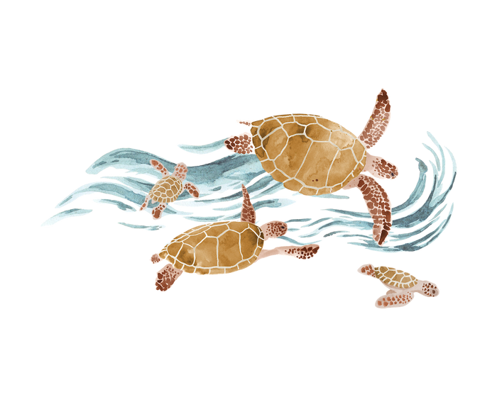 Turtles Transfer Film - Family Fabrics B.V.