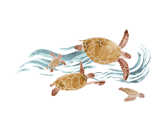 Turtles Transfer Film - Family Fabrics B.V.