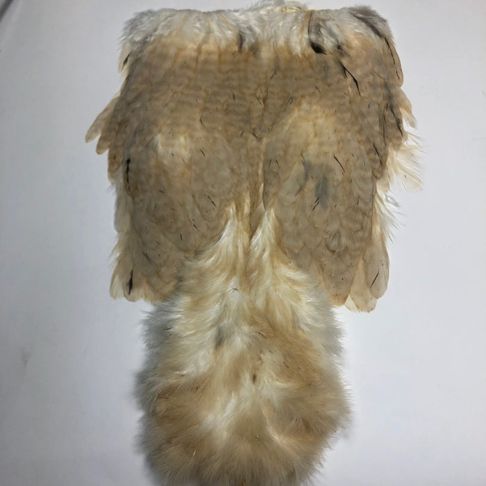 Whiting Soft Hackle with Chickabou - Older Stock