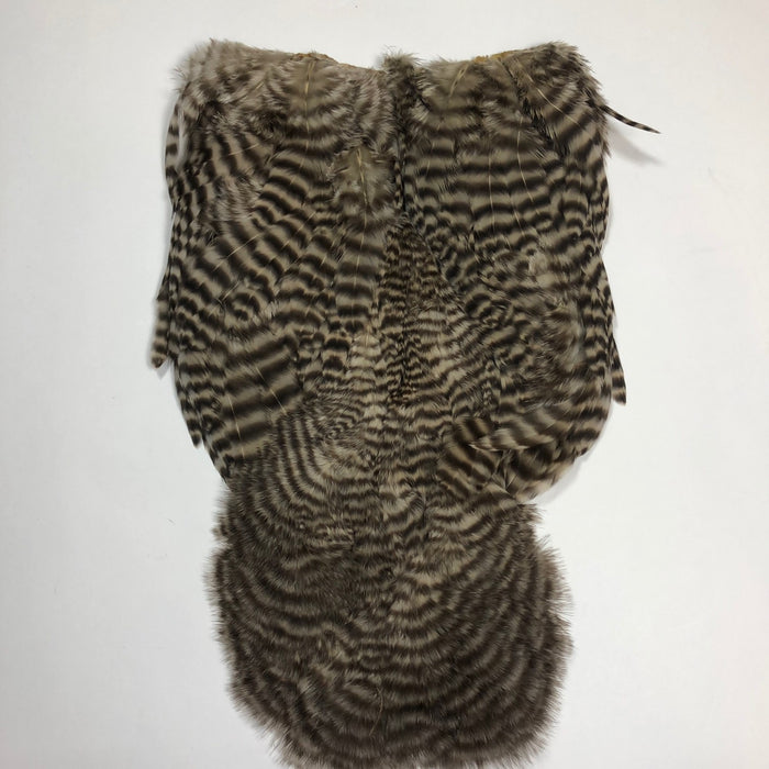 Whiting Soft Hackle with Chickabou - Older Stock
