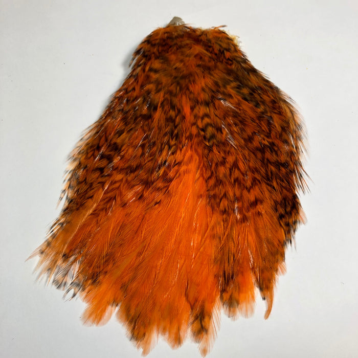 Grizzly dyed Shrimp Orange